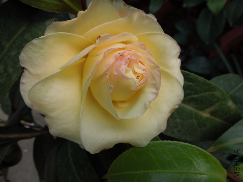 DSCN4123.JPG