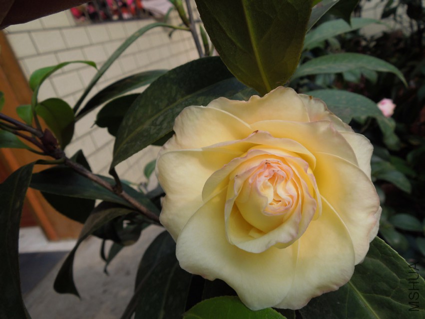 DSCN4124.JPG