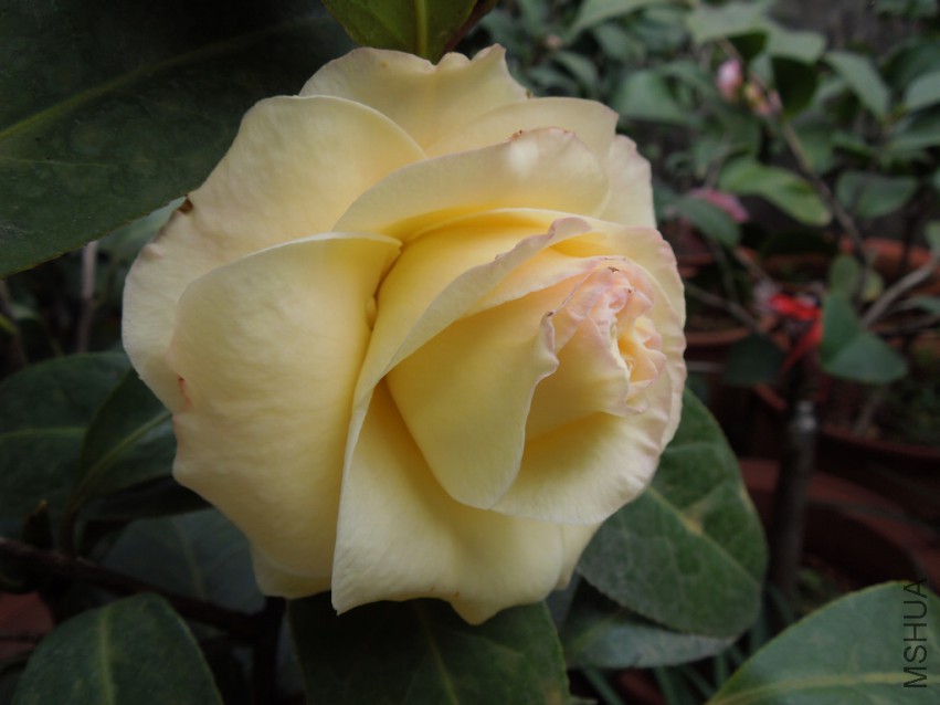 DSCN4127.JPG