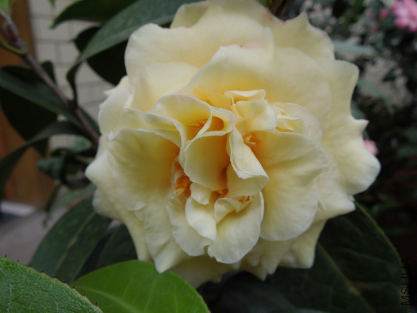 DSCN4139.JPG
