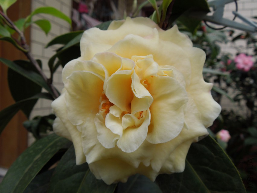 DSCN4140.JPG