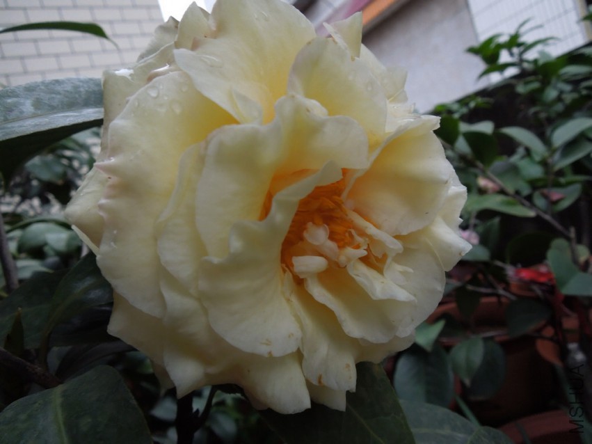 DSCN4144.JPG