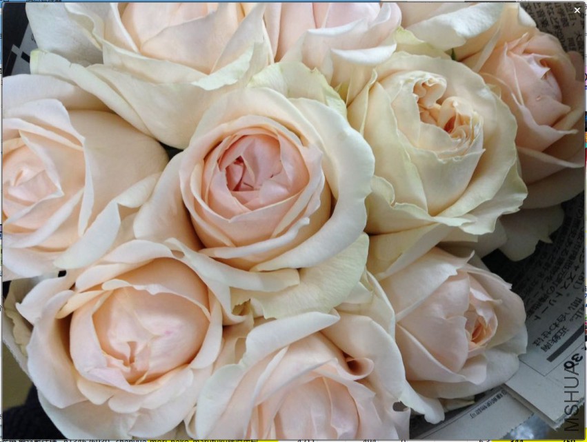 PE)WLKFI7T56FGJRT}`(TNO.jpg