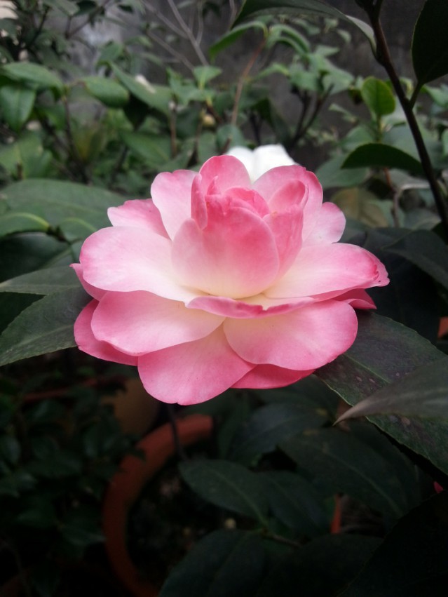 20140313_161912.jpg