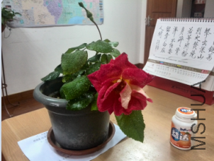 QQ��ͼ20150320144320.png
