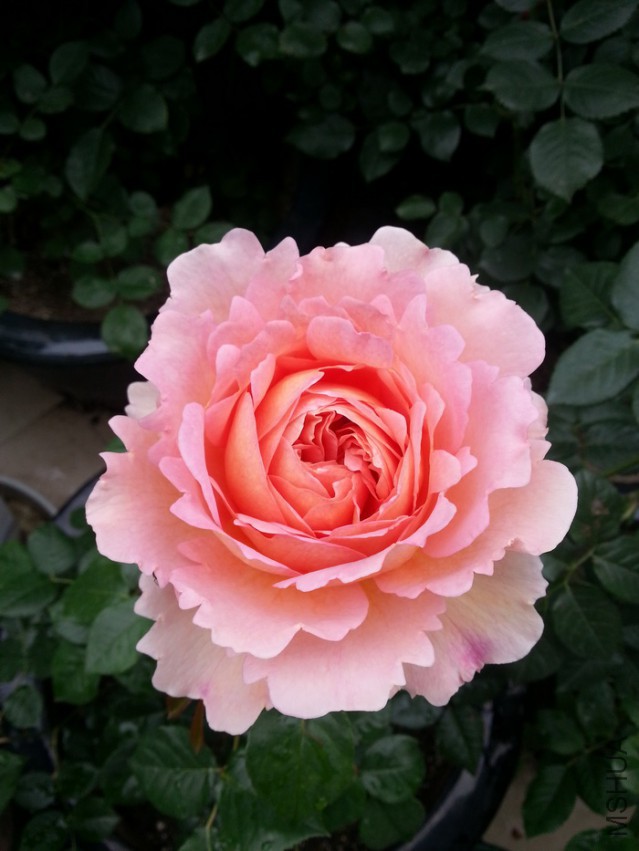 ��20140509_075856.jpg