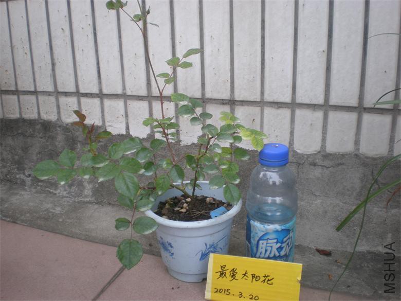 ����18Ԫ