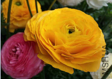 QQͼƬ20150320200637.png
