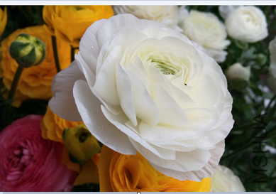 QQͼƬ20150320200725.png
