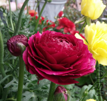 QQͼƬ20150320200952.png