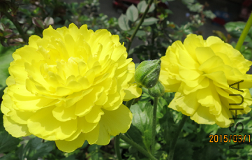 QQͼƬ20150320201328.png