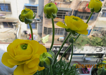 QQͼƬ20150320195646.png