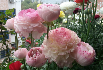 QQͼƬ20150320200312.png