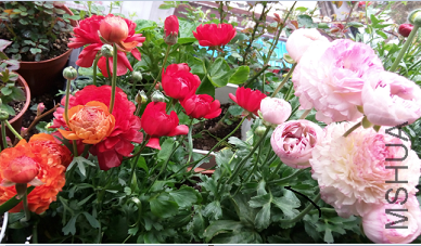 QQͼƬ20150320200038.png