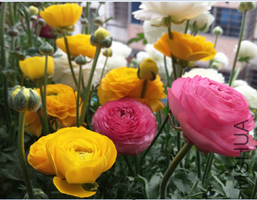 QQͼƬ20150320200906.png