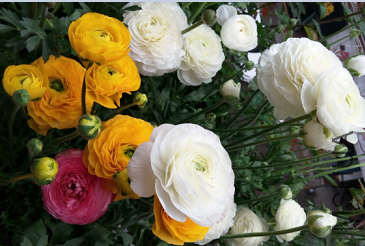 QQͼƬ20150320201049.png