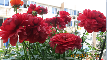 QQͼƬ20150320201240.png