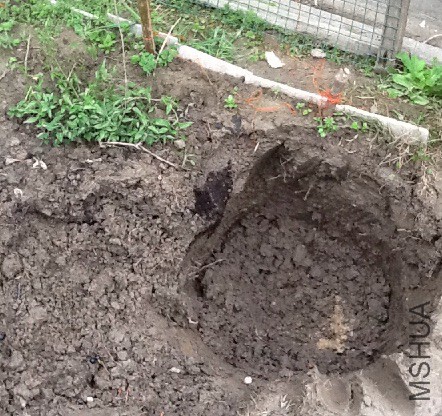 ���Ӳ���