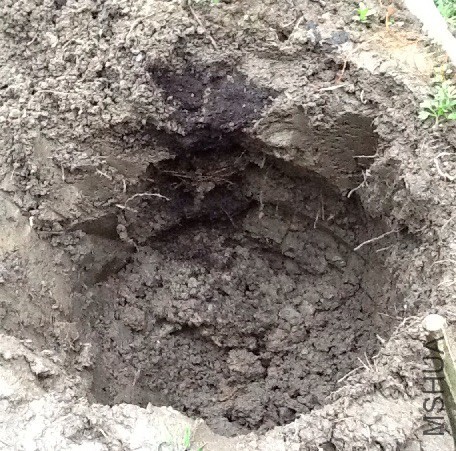 �����������û����