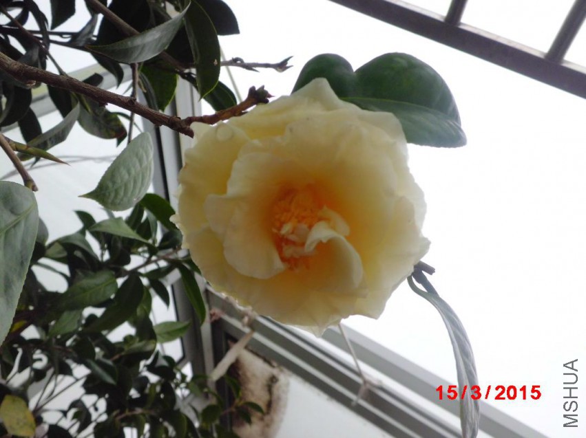 CIMG5707.JPG
