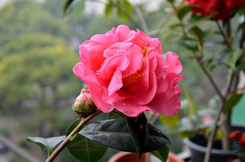 DSC_3045.JPG