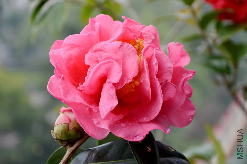 DSC_3056.JPG