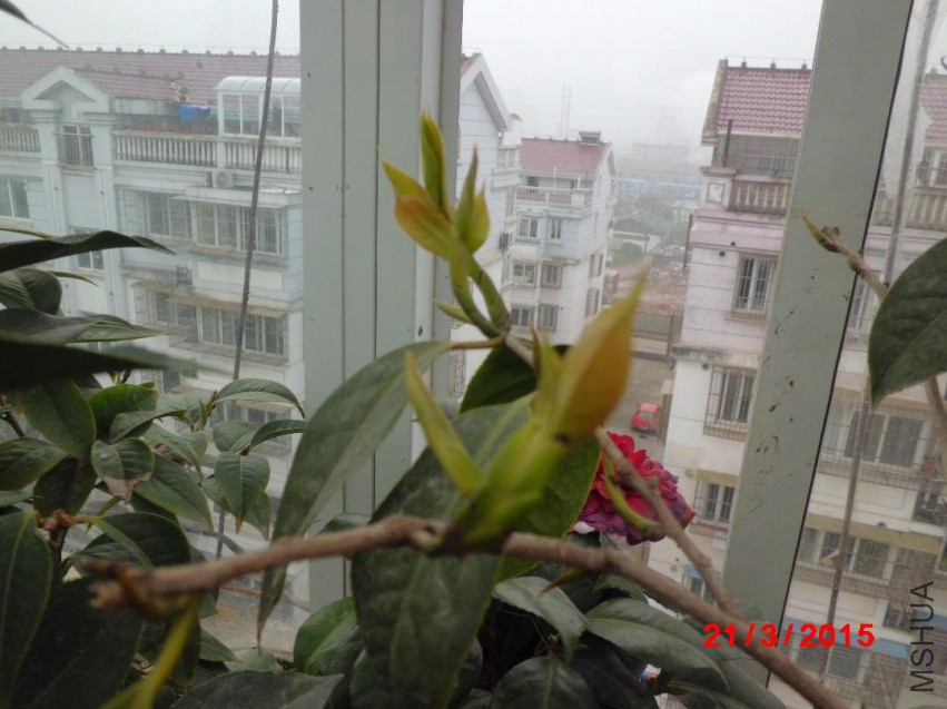 CIMG5771.JPG