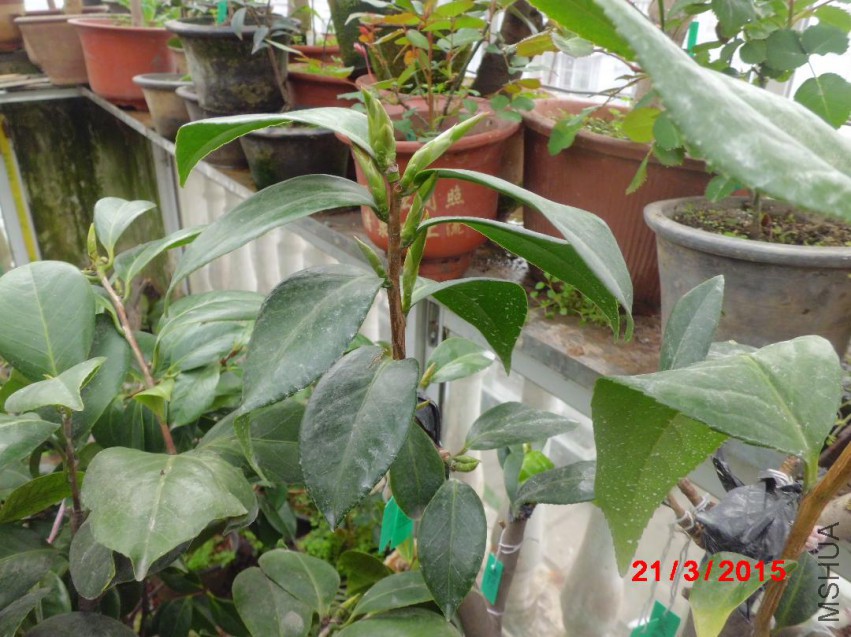 CIMG5761.JPG
