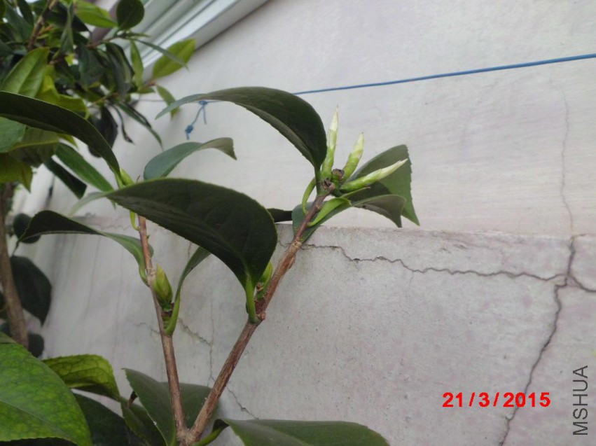 CIMG5739.JPG