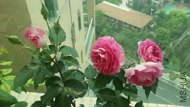 20150321_115659.jpg