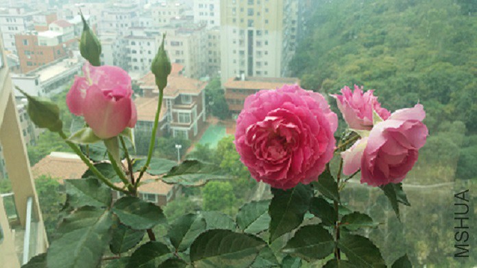 20150321_115709.jpg
