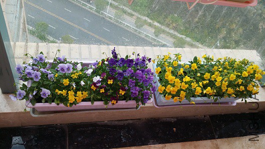 20150321_092127.jpg