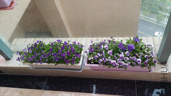 20150321_092151.jpg