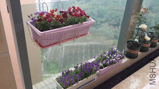 20150321_092215.jpg