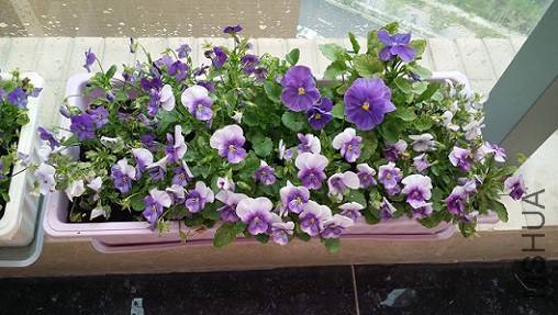 20150321_092223.jpg
