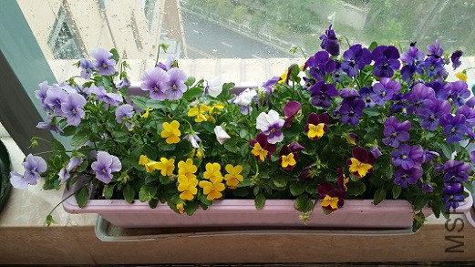 20150321_092258.jpg