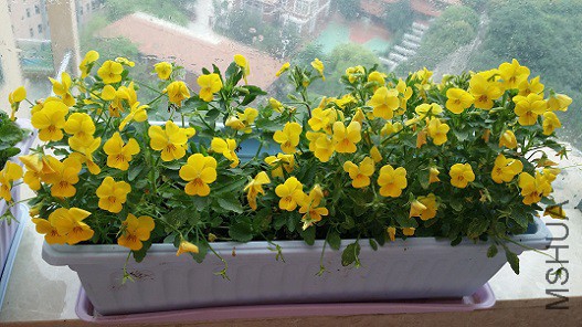 20150321_092307.jpg