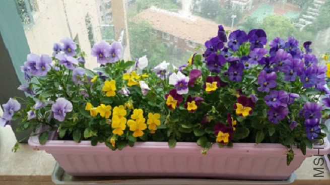 20150321_092312.jpg