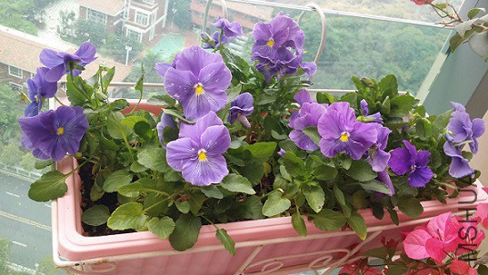 20150321_092320.jpg
