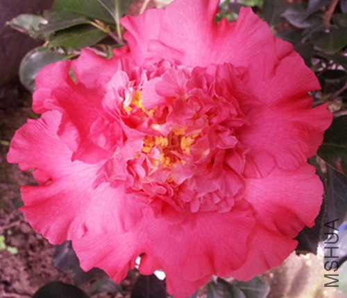 20150320_101420.jpg