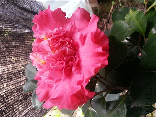 20150320_101428.jpg