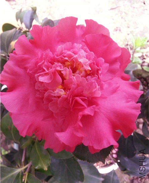 20150320_101447.jpg