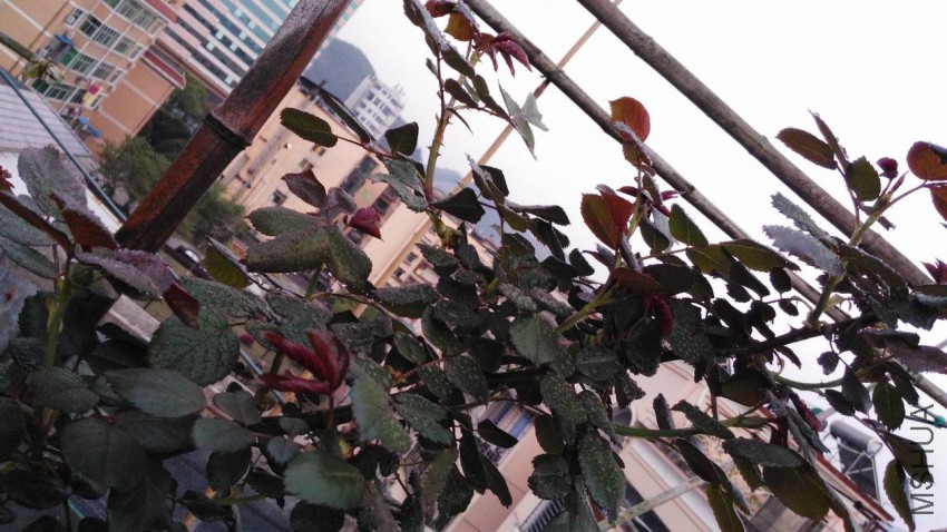 ������С IMG_20150319_182104.jpg