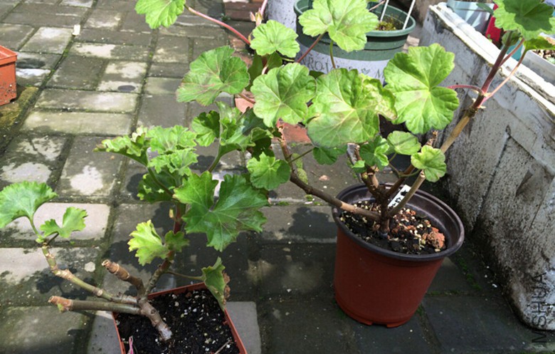 QQ��ͼ20150321121348.jpg