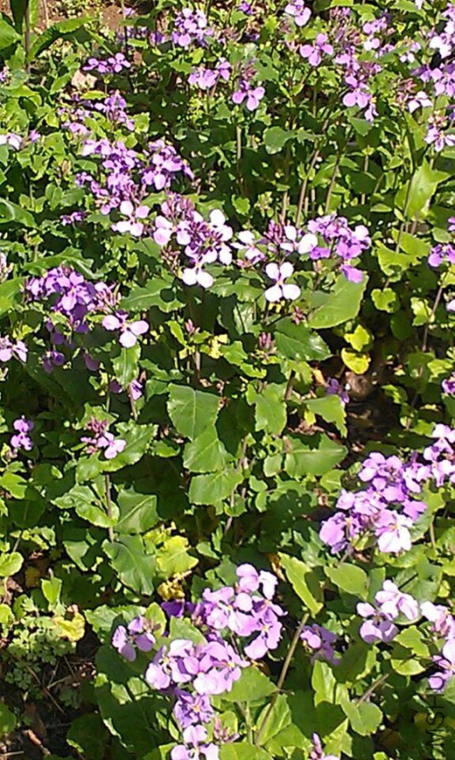 QQͼƬ20150321142431.jpg