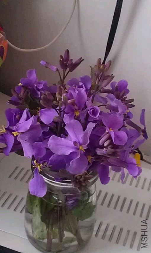 QQͼƬ20150321142413.jpg