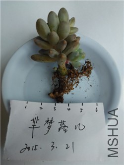 1��