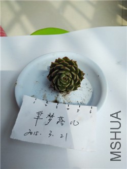 13��   ����ά��  20