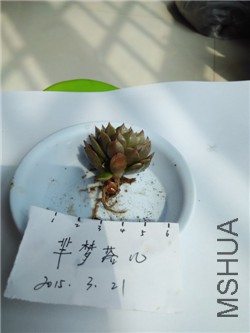 13��