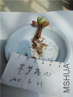 8��   14��   ������